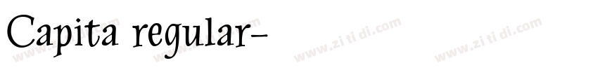 Capita regular字体转换
